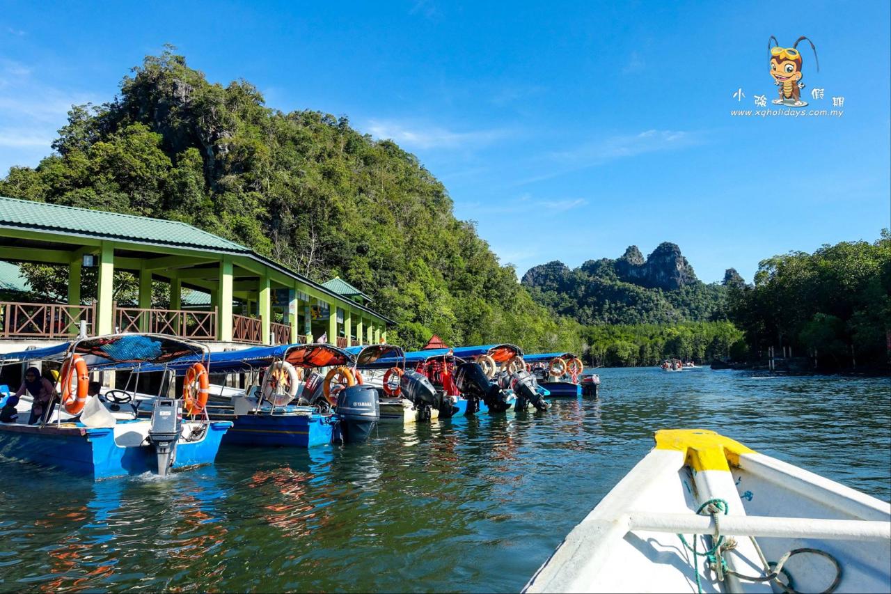 Jelajahi Pesona Hutan Bakau Langkawi dengan Tur yang Menakjubkan